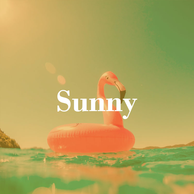 sunny-mood-800px